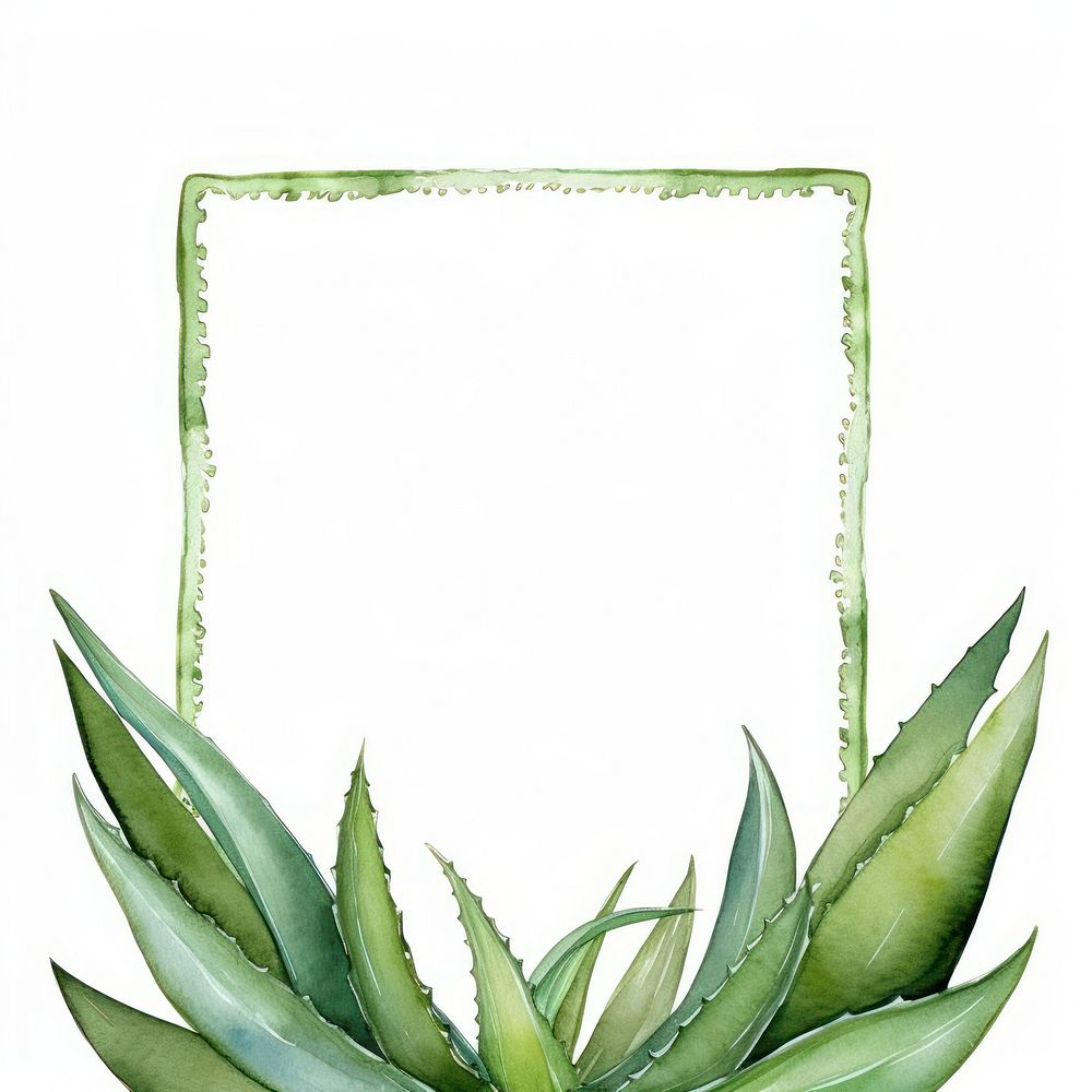 Aloe vera frame watercolor plant white background rectangle.