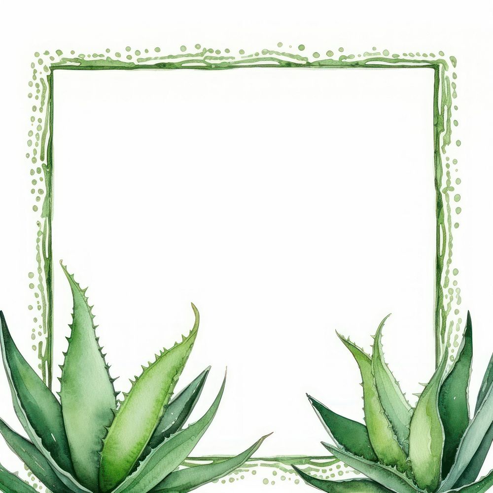 Aloe vera frame watercolor backgrounds plant xanthorrhoeaceae.