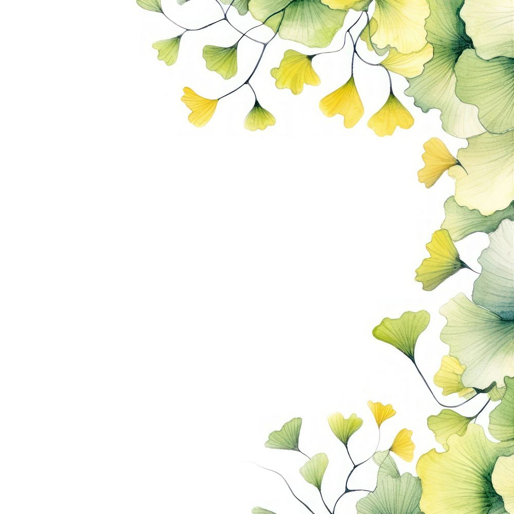 Ginkgo border watercolor backgrounds pattern plant.