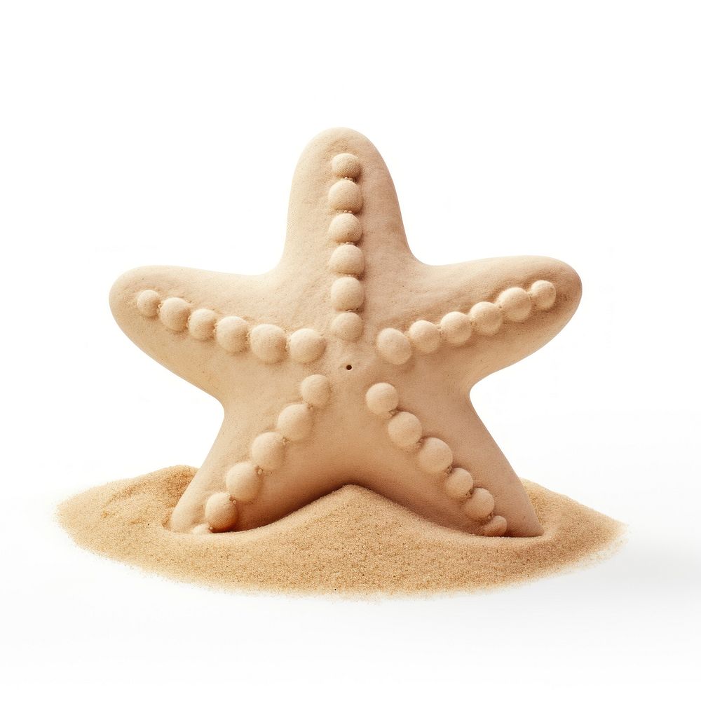 Sand sculpture of starfish cookie beach food.