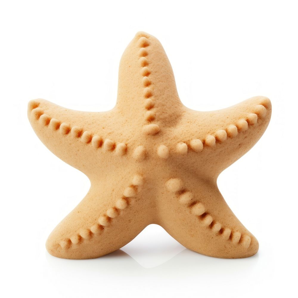 Sand sculpture of starfish cookie food white background.