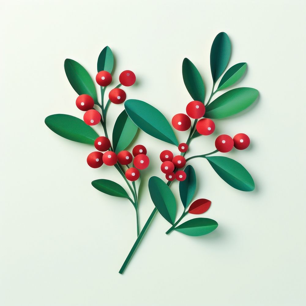 Christmas mistletoe plant leaf food.