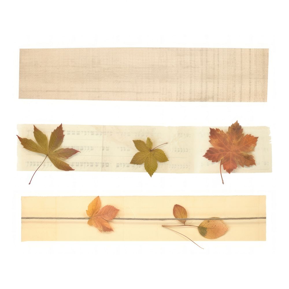 Tape stuck on autumn backgrounds plant paper.