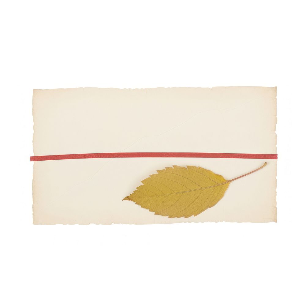 Tape stuck on autumn leaf paper plant white background.