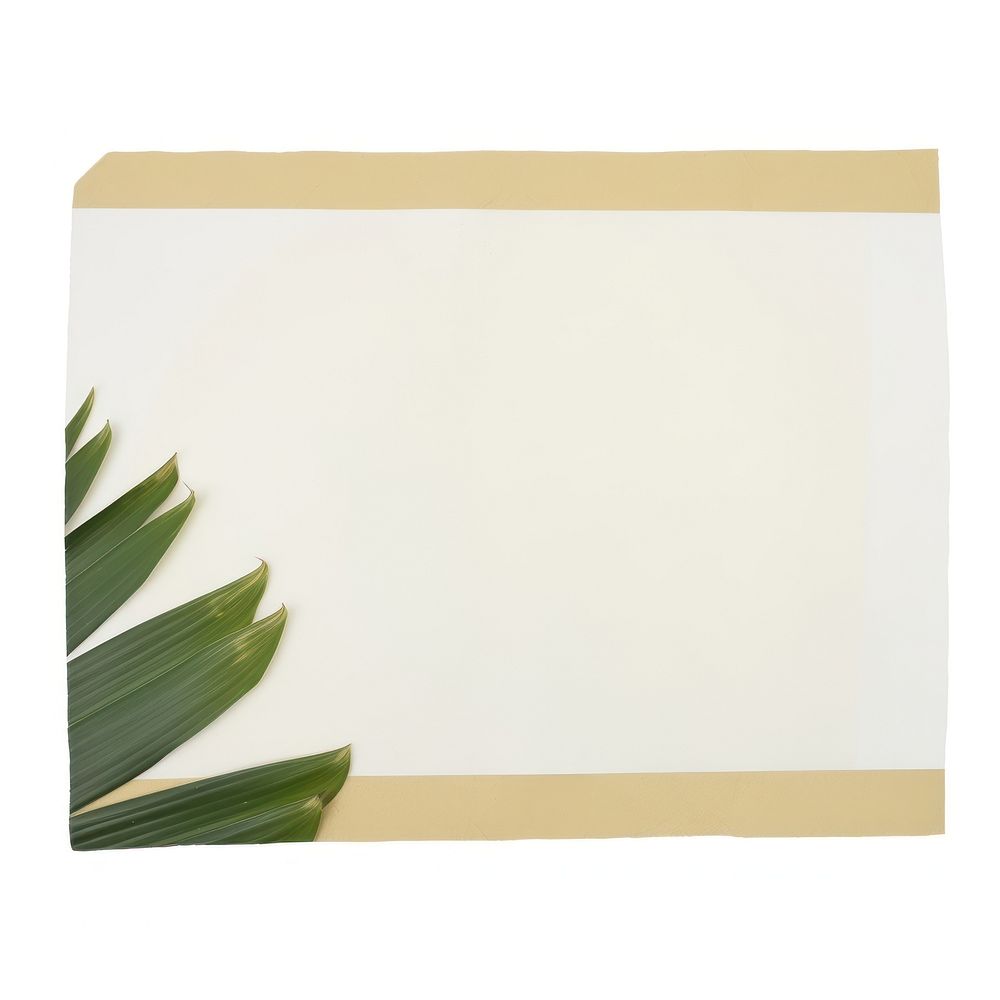 Tape stuck on the tropical leaf paper plant white background.