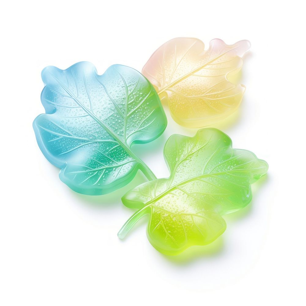Leaf food confectionery translucent.