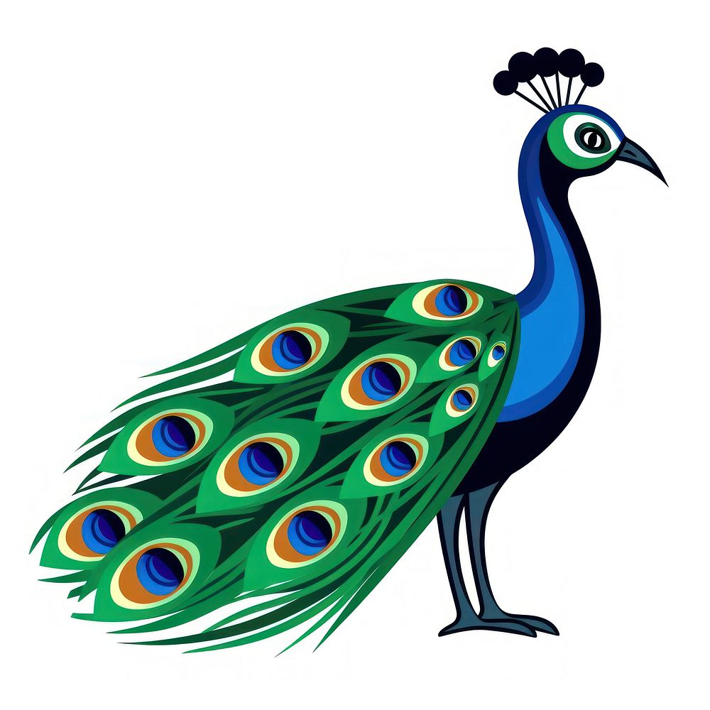 Peacock animal bird wing.
