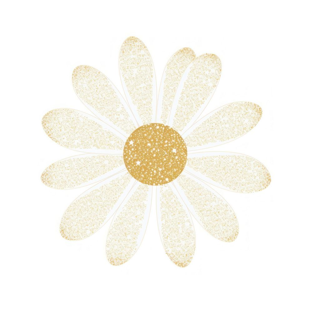 Daisy icon pattern flower plant.