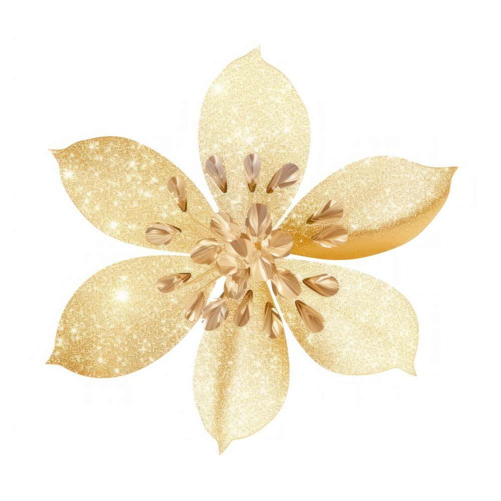 Gold flower icon brooch plant white background.