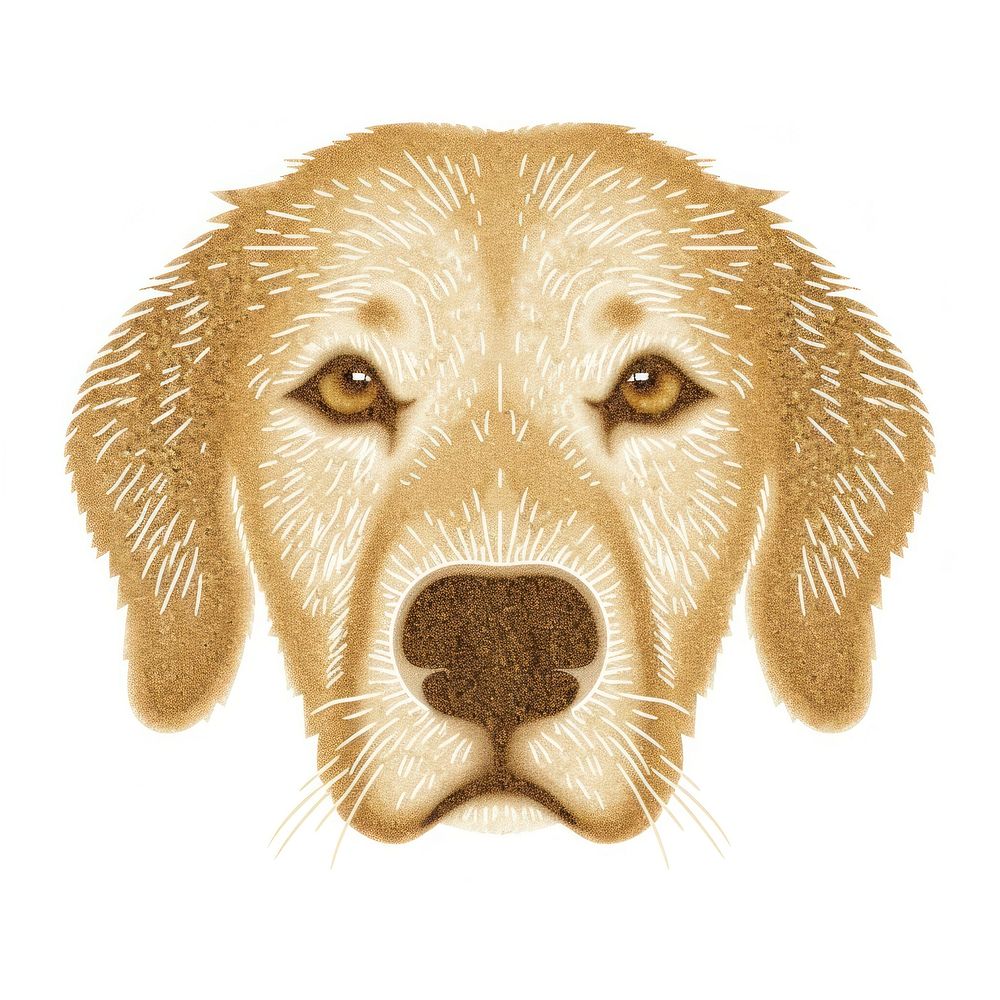 Golden retriever face icon animal mammal snout.