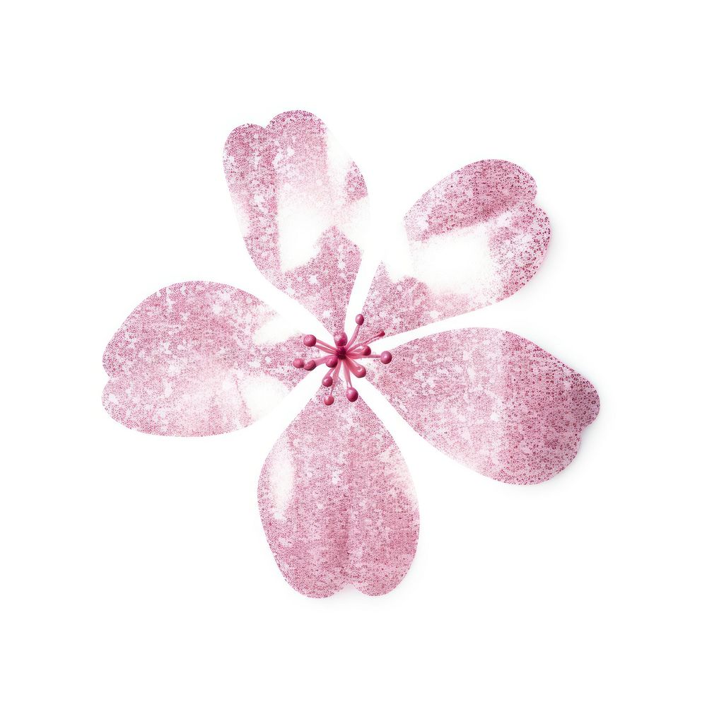 Pink flower icon petal plant white background.