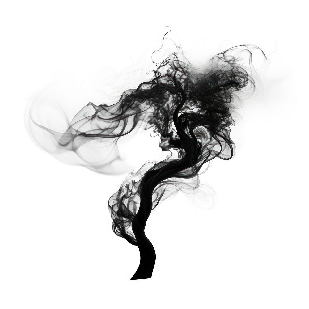 Abstract smoke of bonsai black white background creativity.