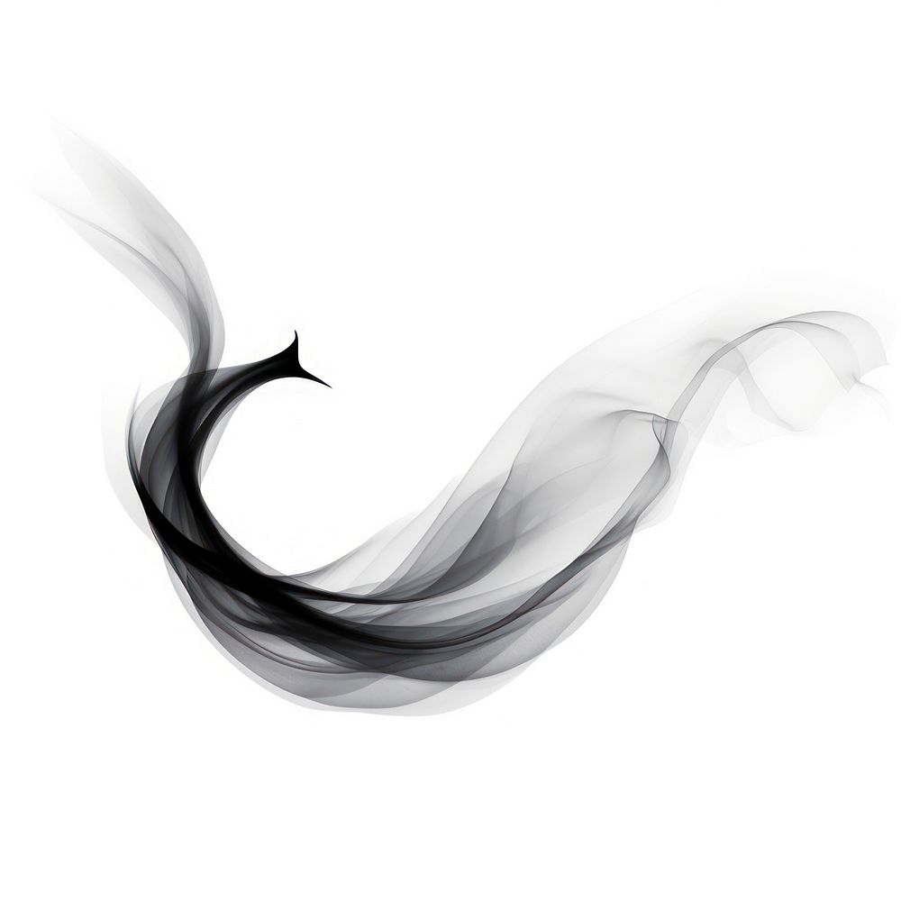 Abstract smoke of bird black white background lightweight.