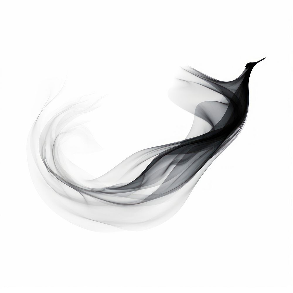Abstract smoke of bird black white art.
