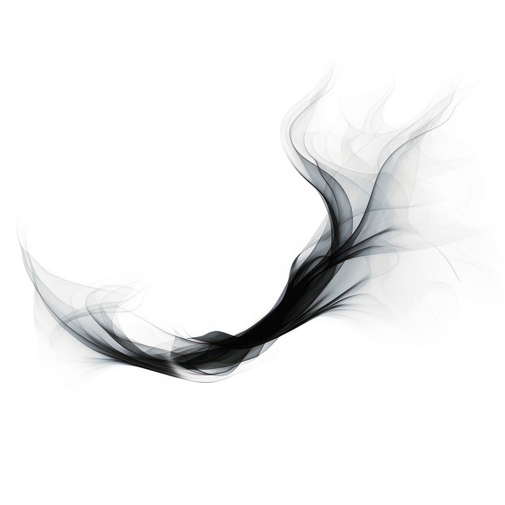 Abstract smoke of dove black white art.
