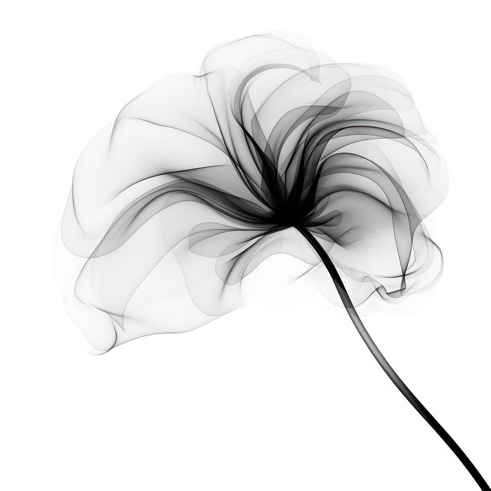 Abstract smoke of daisy flower drawing sketch.