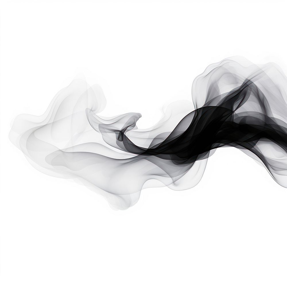Abstract smoke of dragon backgrounds black white.