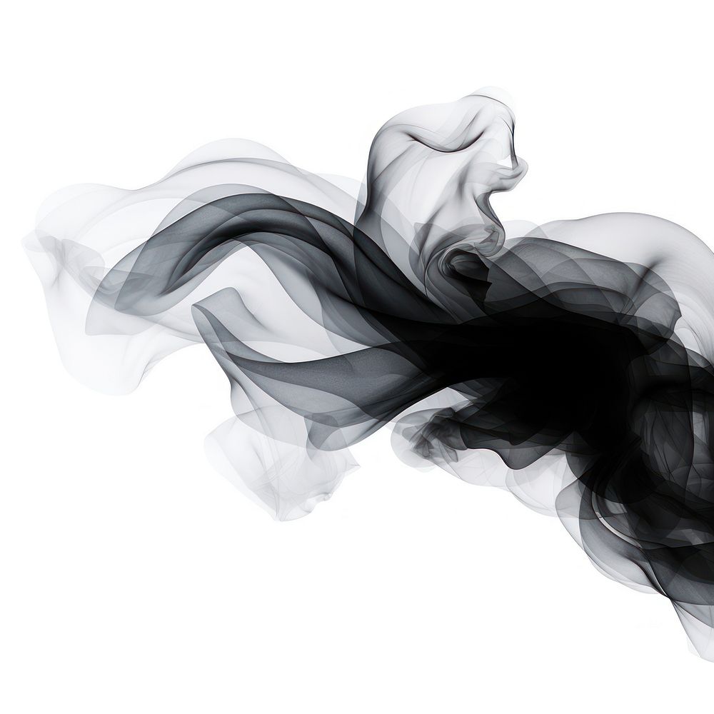 Abstract smoke of dragon black white white background.