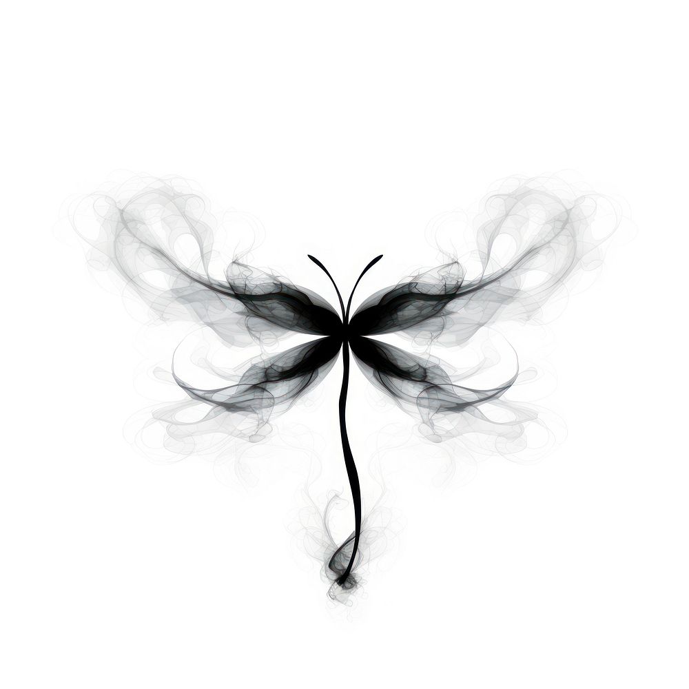 Abstract smoke of dragonfly white black wing.