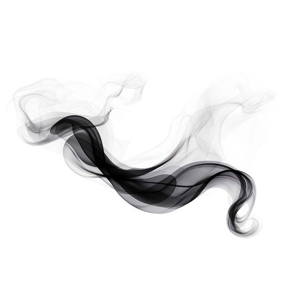 Abstract smoke of feather black white white background.