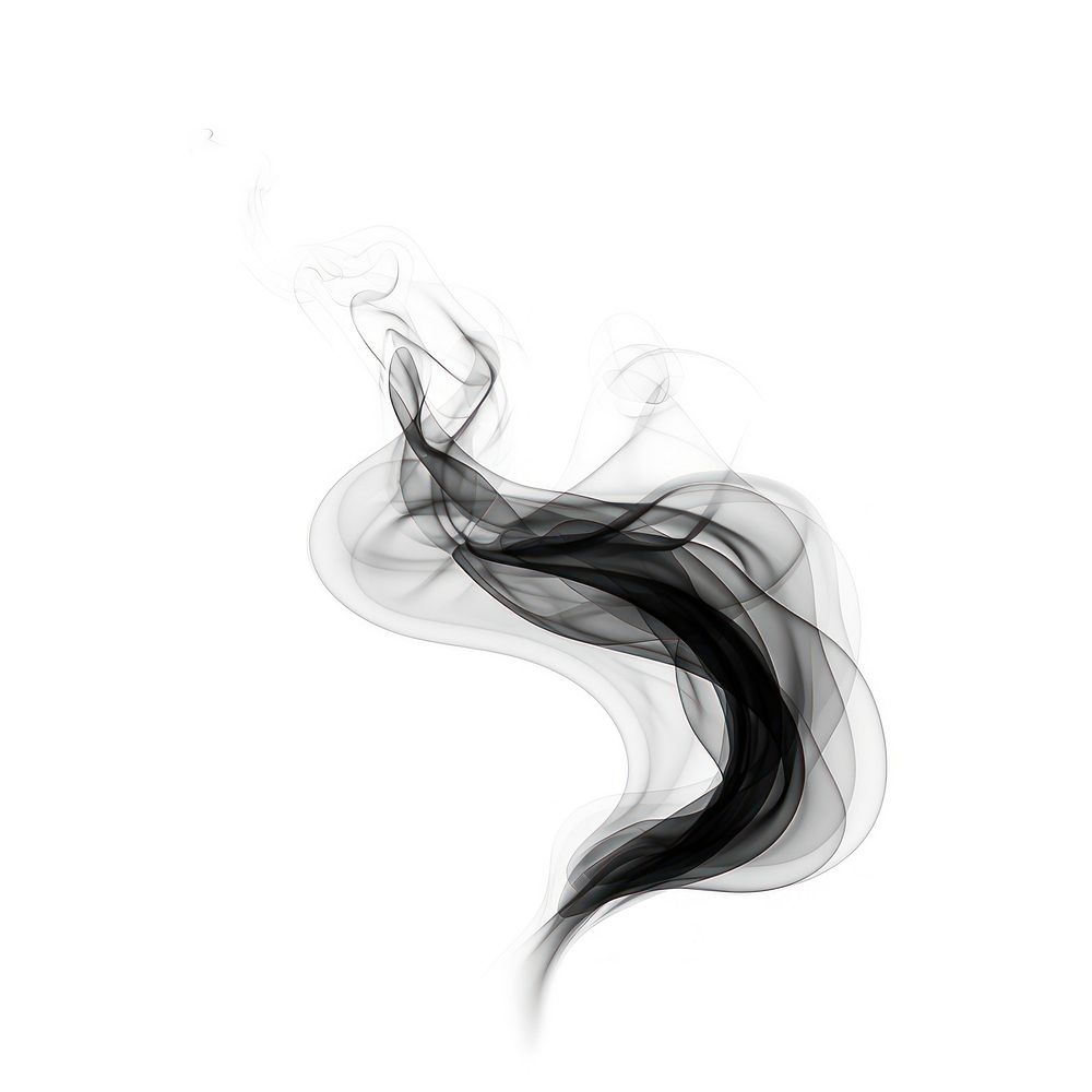 Abstract smoke of feather black white white background.