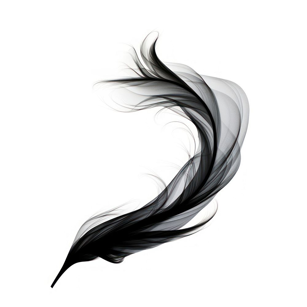 Abstract smoke of feather graphics drawing sketch.