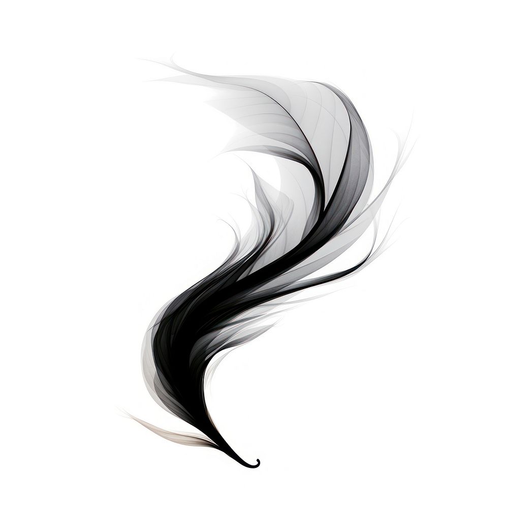 Abstract smoke of feather graphics white black.