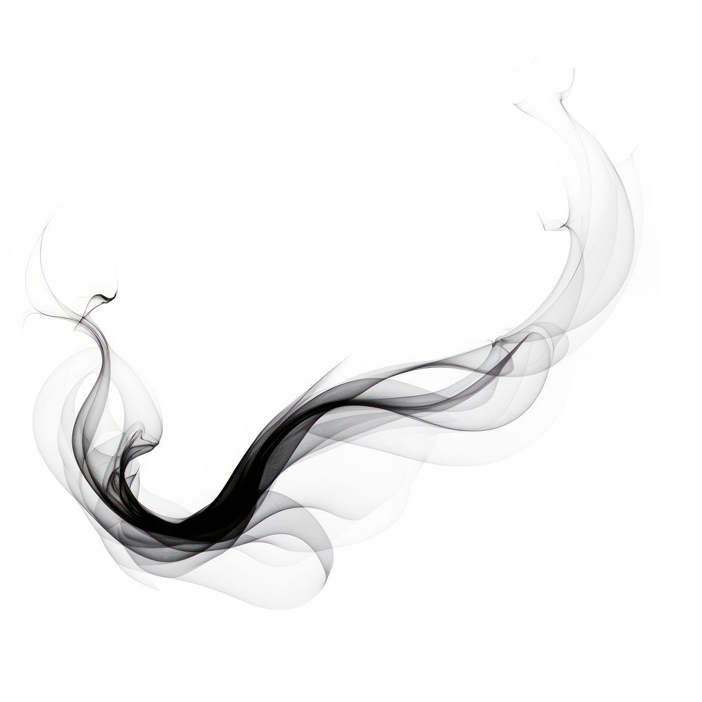 Abstract smoke of feather shape black white.