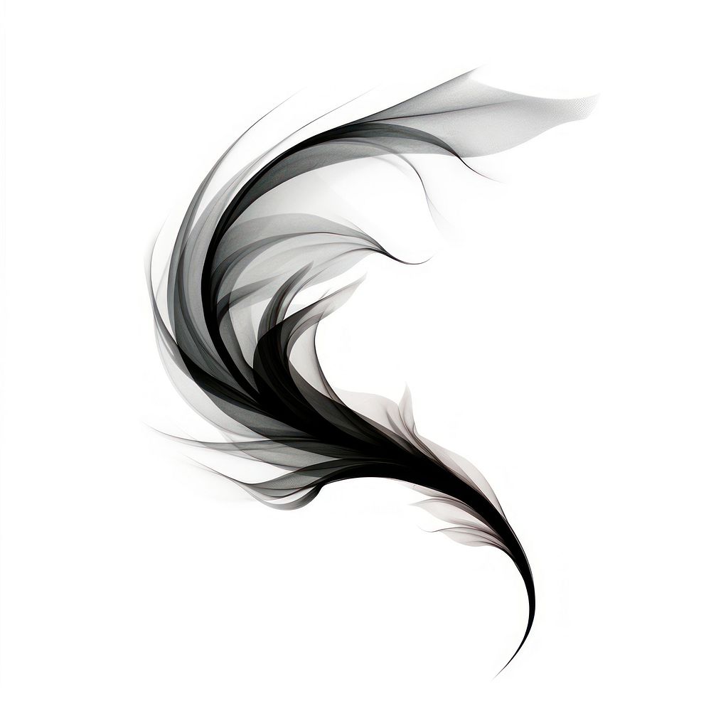 Abstract smoke of feather graphics pattern black.