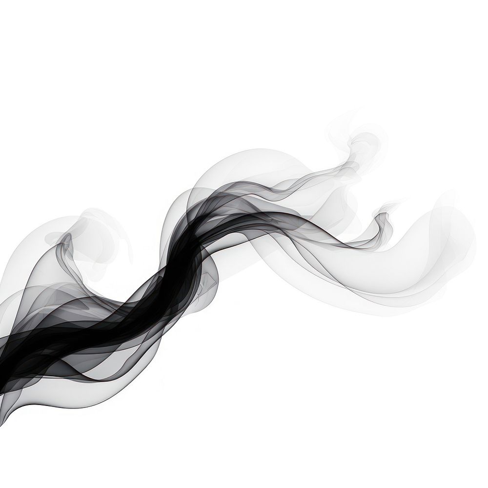 Abstract smoke of feather backgrounds black white.