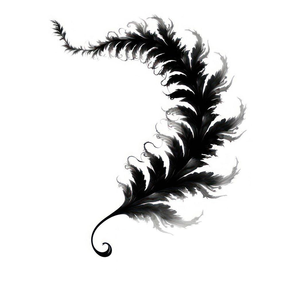 Abstract smoke of fern silhouette graphics pattern.
