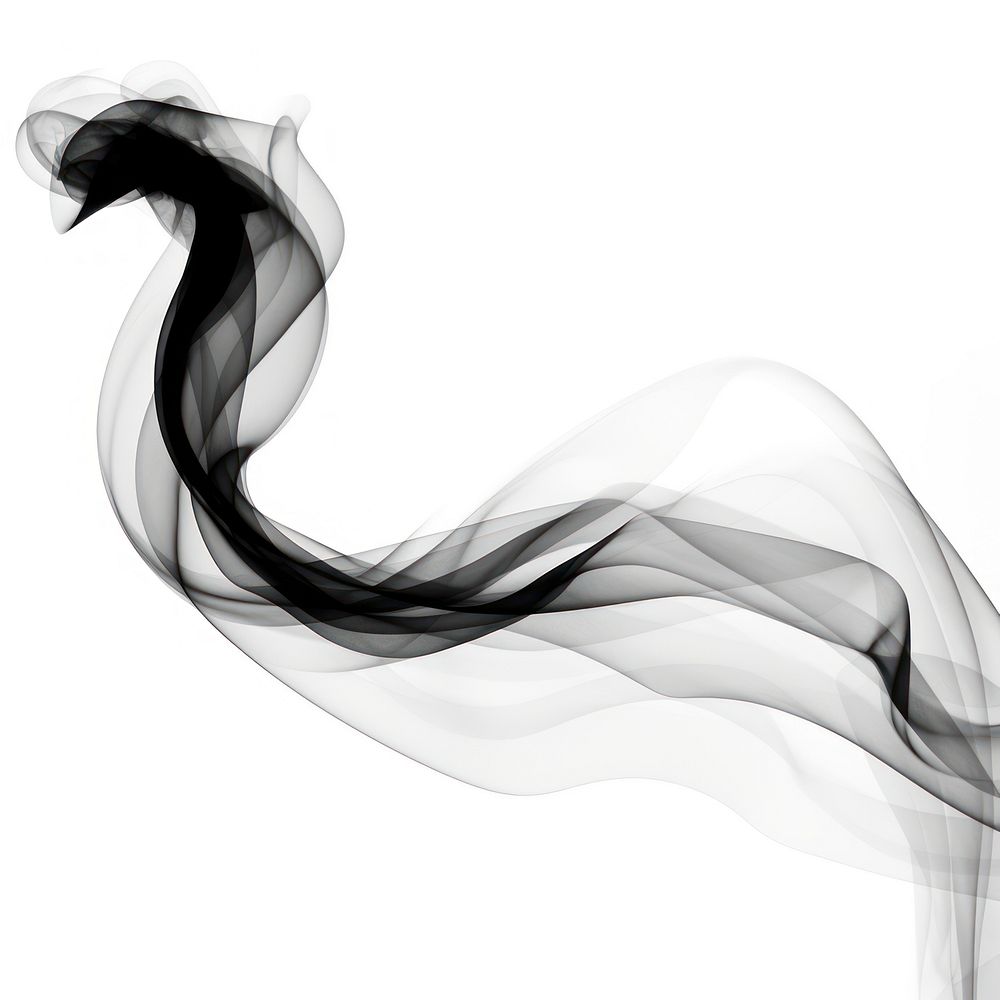 Abstract smoke of fish backgrounds black white.