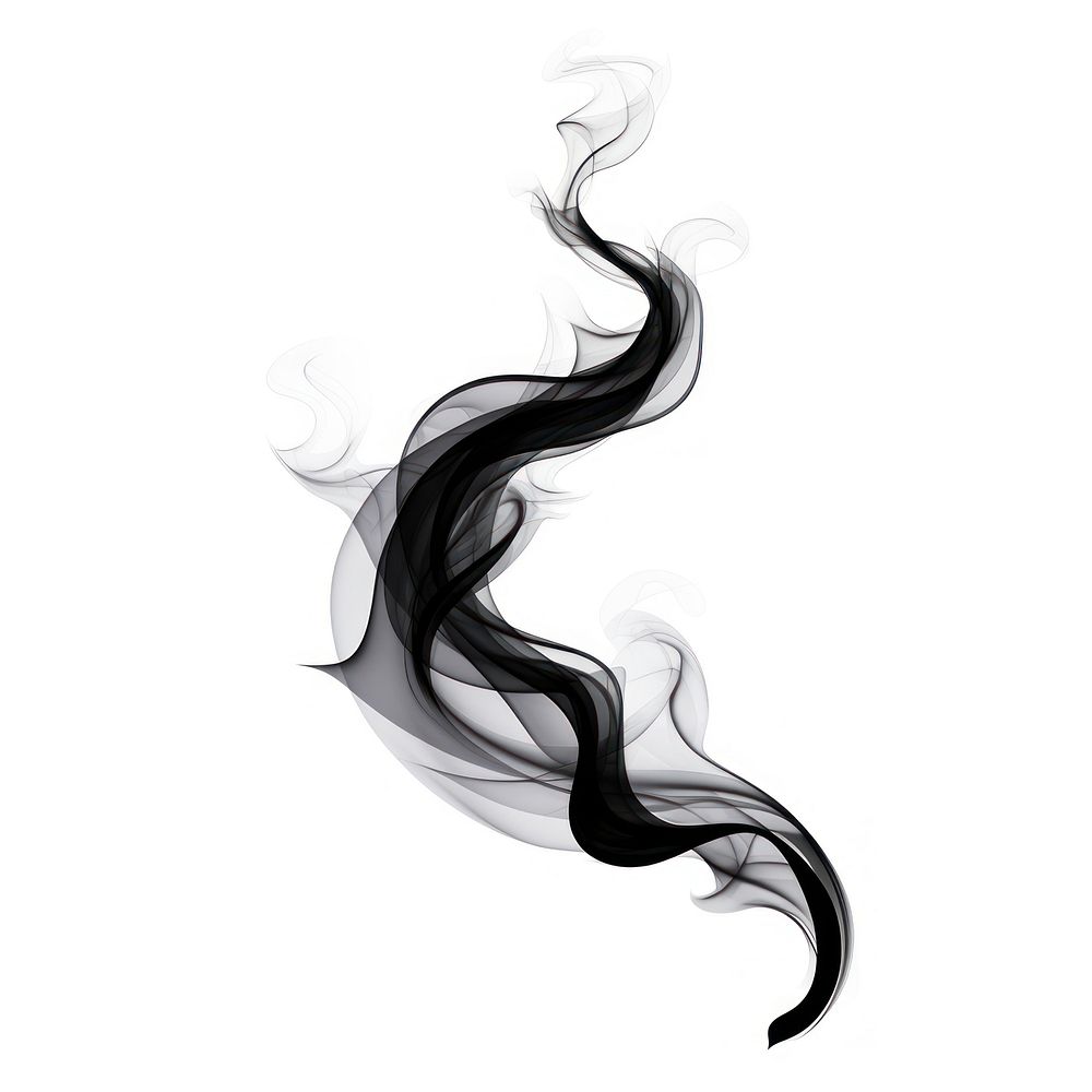 Abstract smoke of holly black white background creativity.