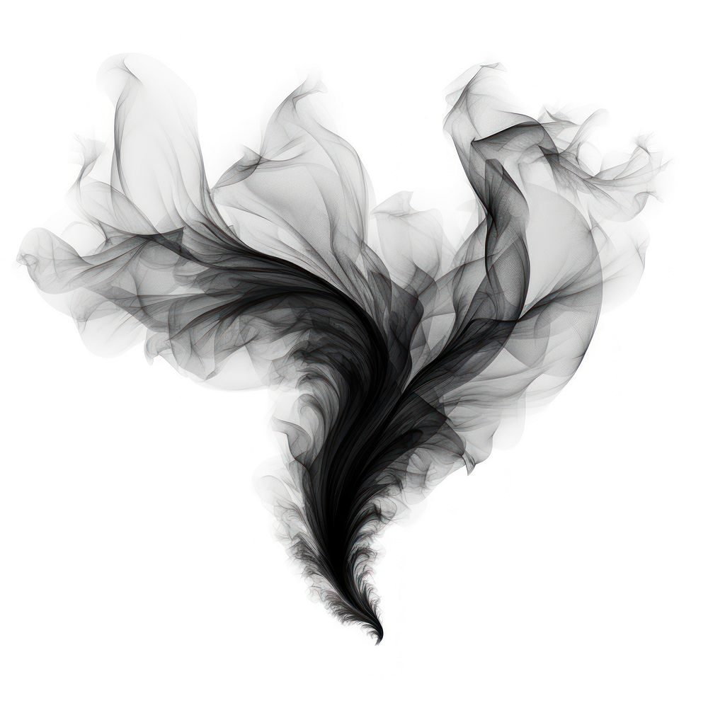 Abstract smoke of insect black white wing.