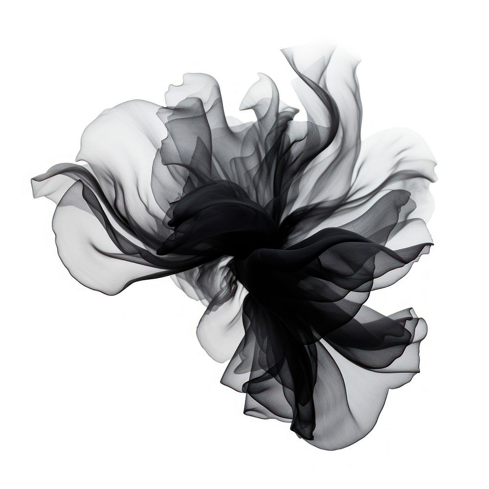 Abstract smoke of lotus flower black white.