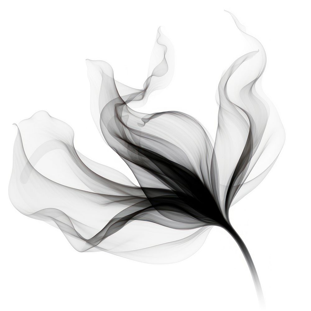 Abstract smoke of lotus white black white background.