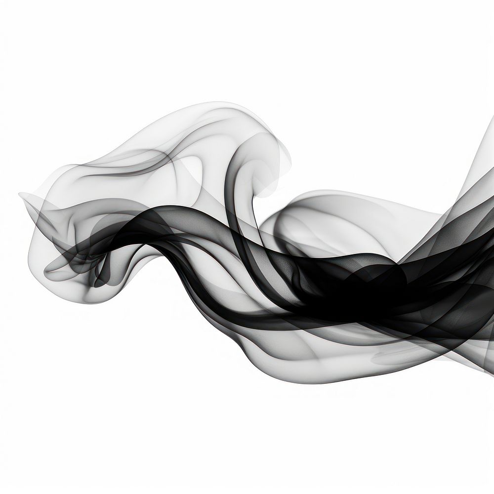 Abstract smoke of lotus backgrounds black white.