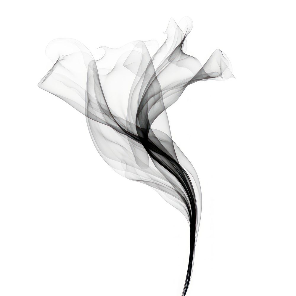 Abstract smoke of lily white black white background.