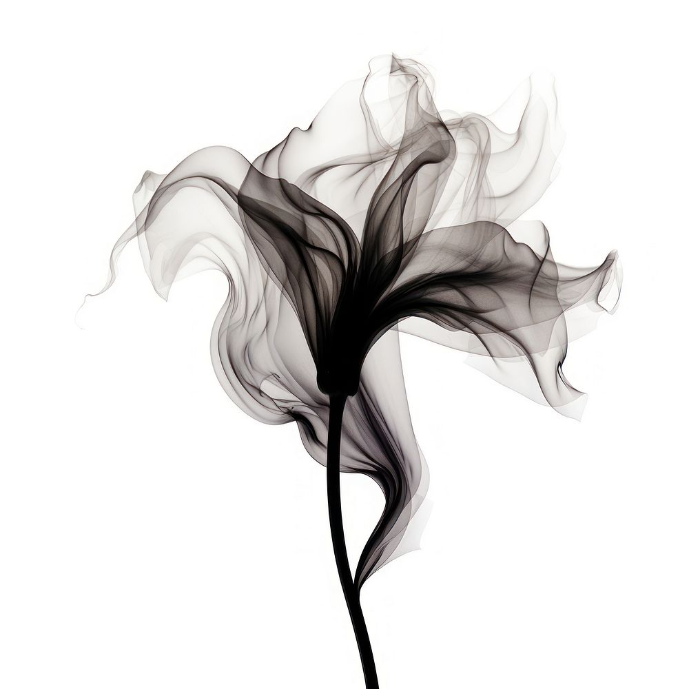 Abstract smoke of lily art white background creativity.