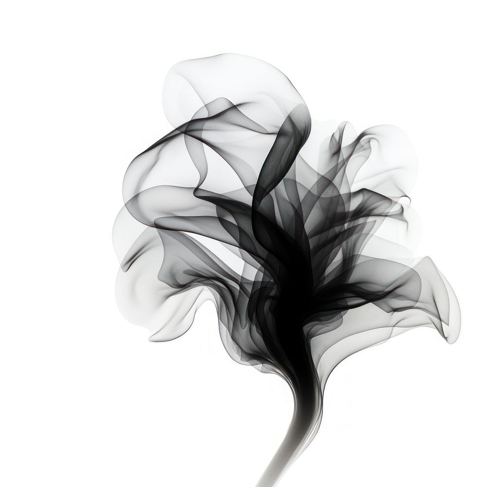 Abstract smoke of lutus black white white background.