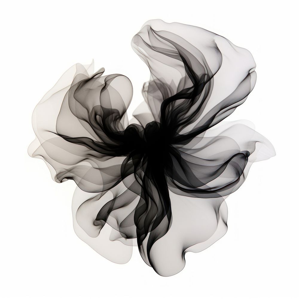 Abstract smoke of magnolia black white white background.