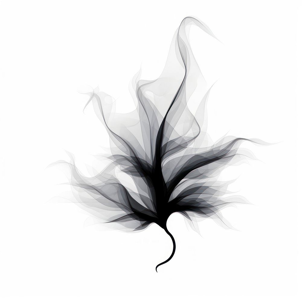 Abstract smoke of maple black white art.