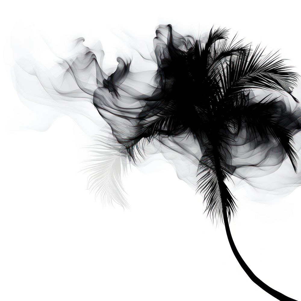 Abstract smoke of palm black white art.