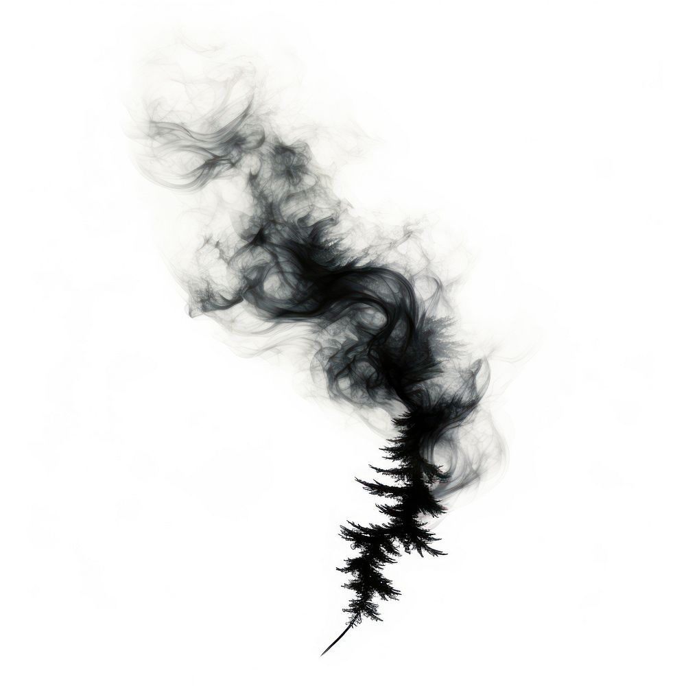 Abstract smoke of pine white tree white background.