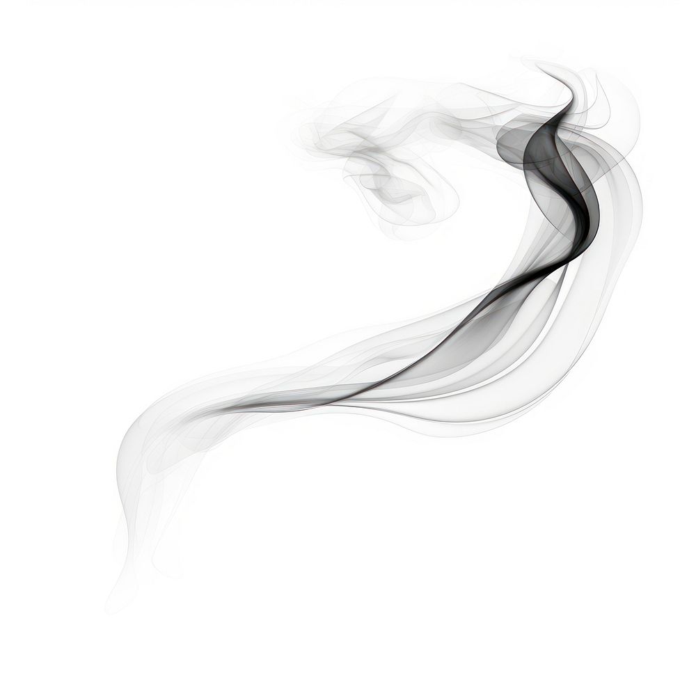 Abstract smoke of pine backgrounds white white background.