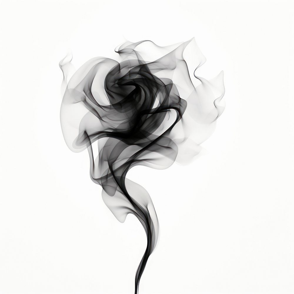 Abstract smoke of rose black white white background.