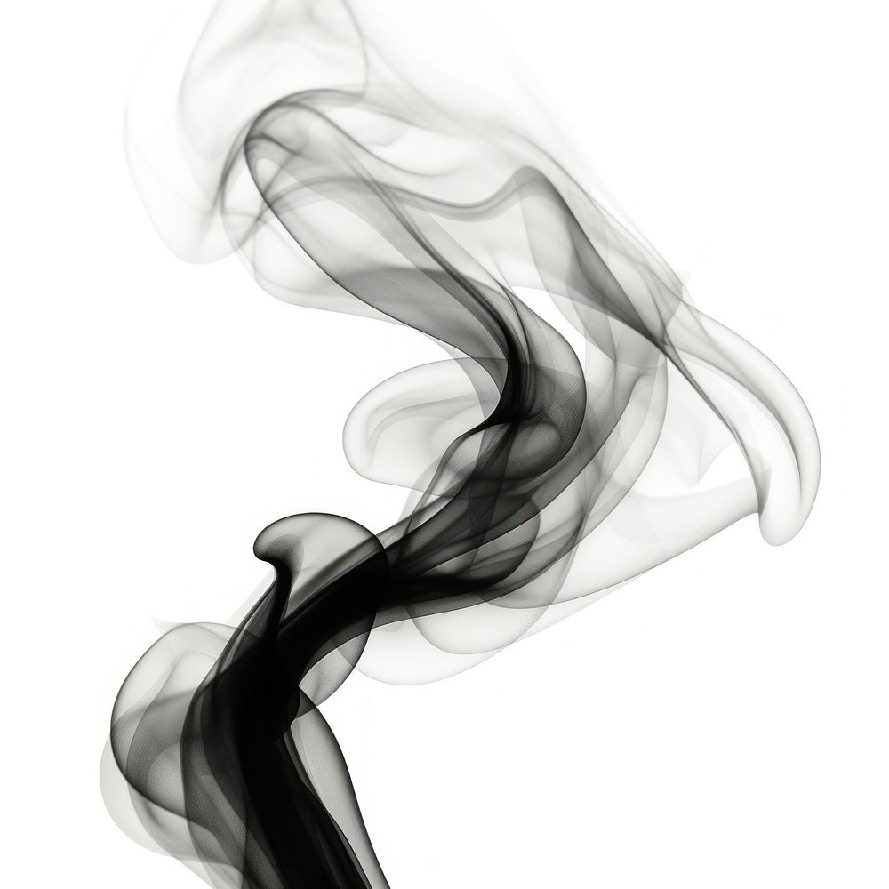 Abstract smoke of wasp black white white background.
