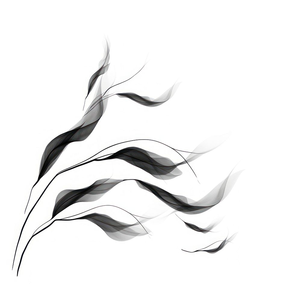 Abstract smoke of willow backgrounds graphics pattern.