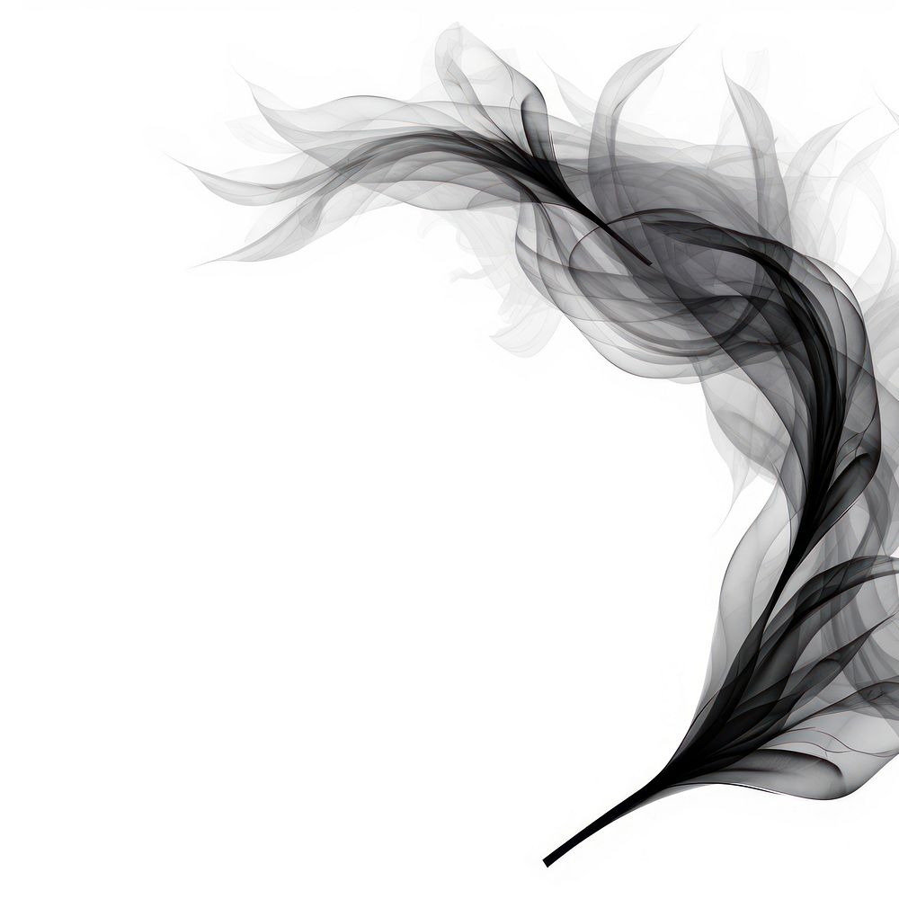 Abstract smoke of willow pattern black art.
