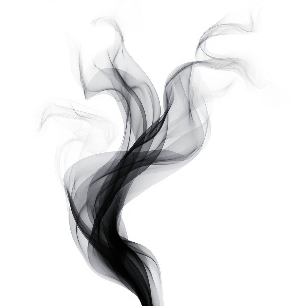 Abstract smoke of willow black white white background.